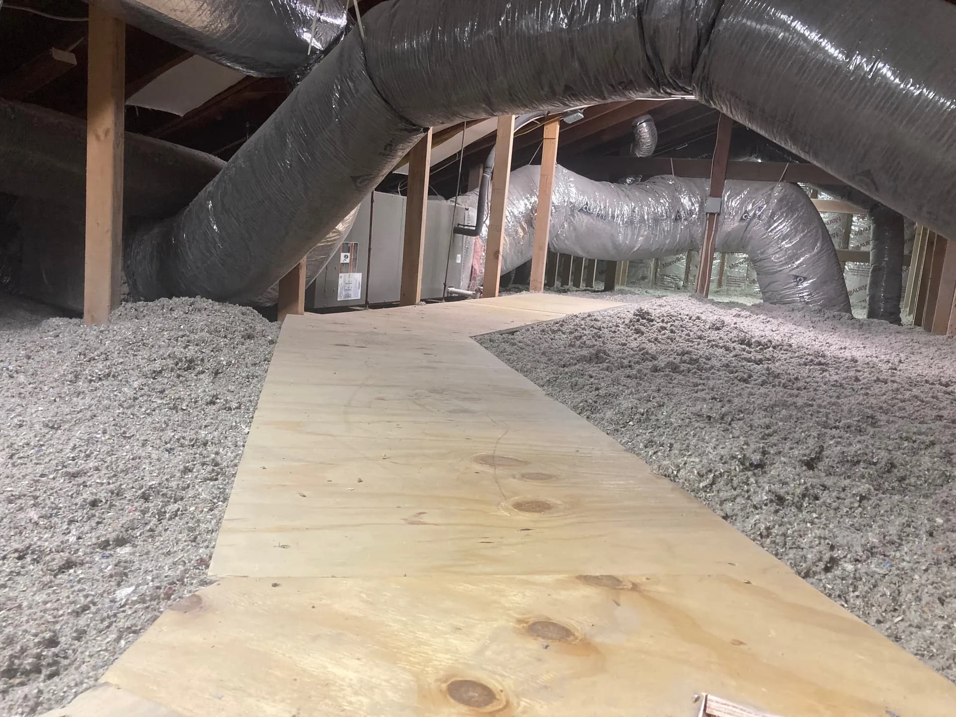 Technician blowing cellulose insulation across an attic floor