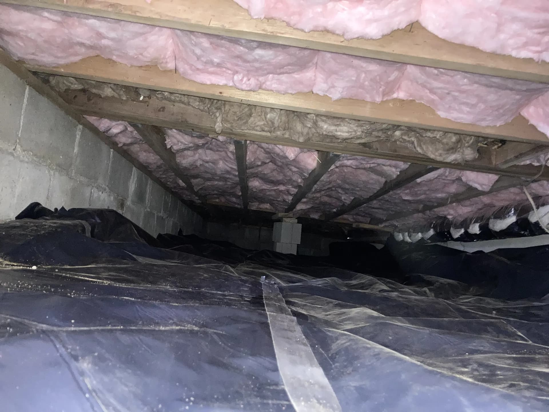Crawl space insulated with fiberglass batts between joists