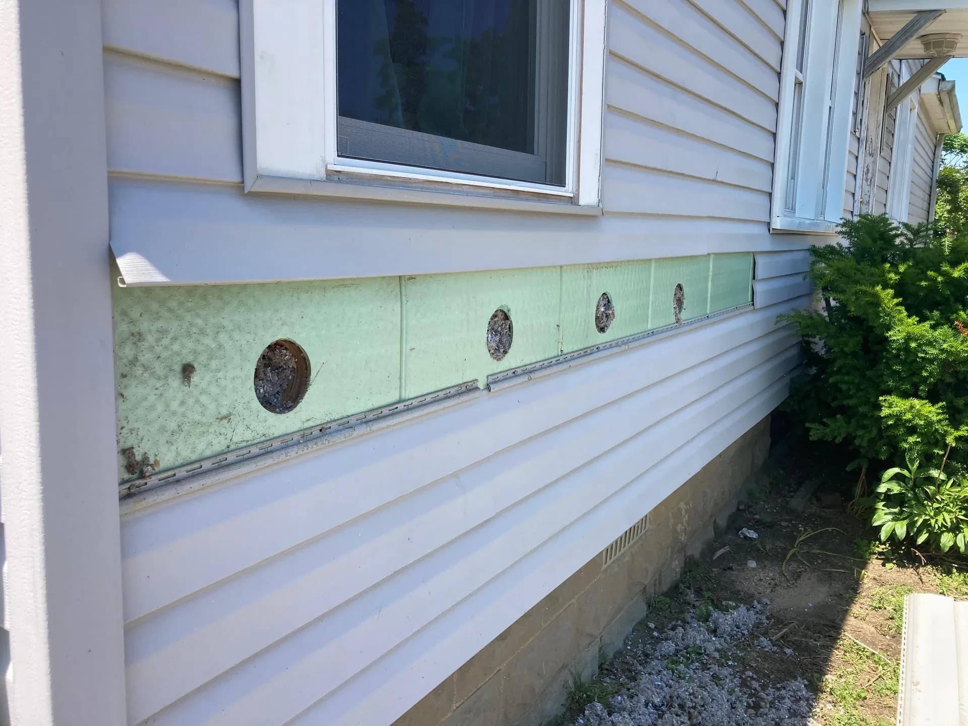 Dense-pack cellulose insulation filling an open wall cavity